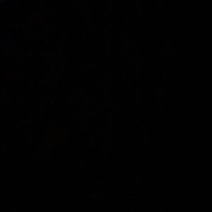 Meet your Posher, Jovana’